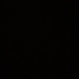 Meet your Posher, Lily